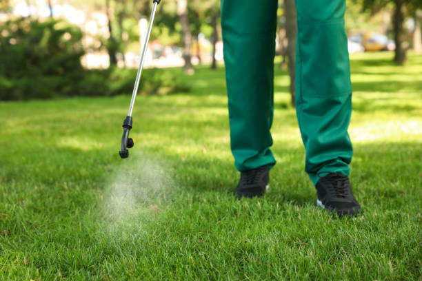 Best Termite Control Services  in Chester, PA
