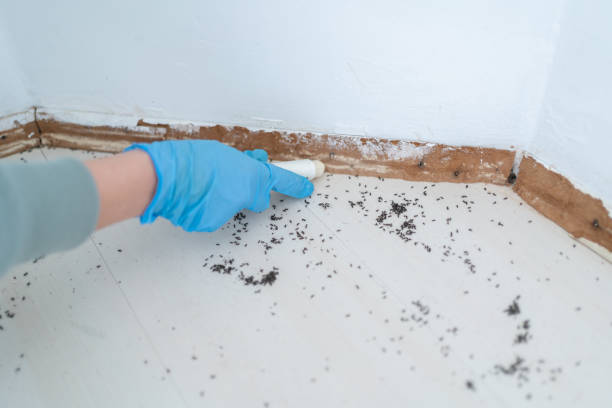 Best Affordable Pest Control Services  in Chester, PA