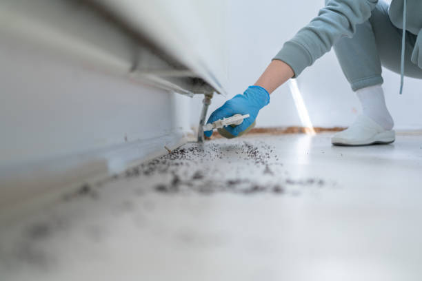 Reliable Chester, PA Pest Control Solutions